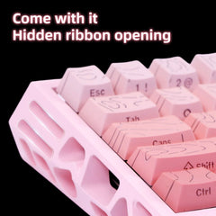 556621291