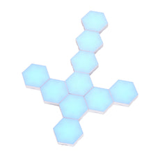 556778431